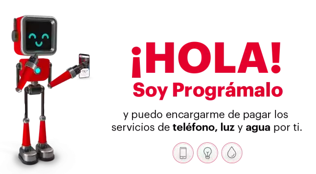 Programa tus servicios