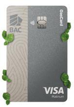 PLATEADA VISA PLATINUM