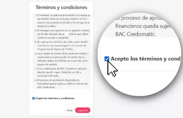 Términos y condiciones bac amigos