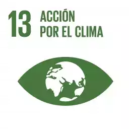 13 Accion por el clima