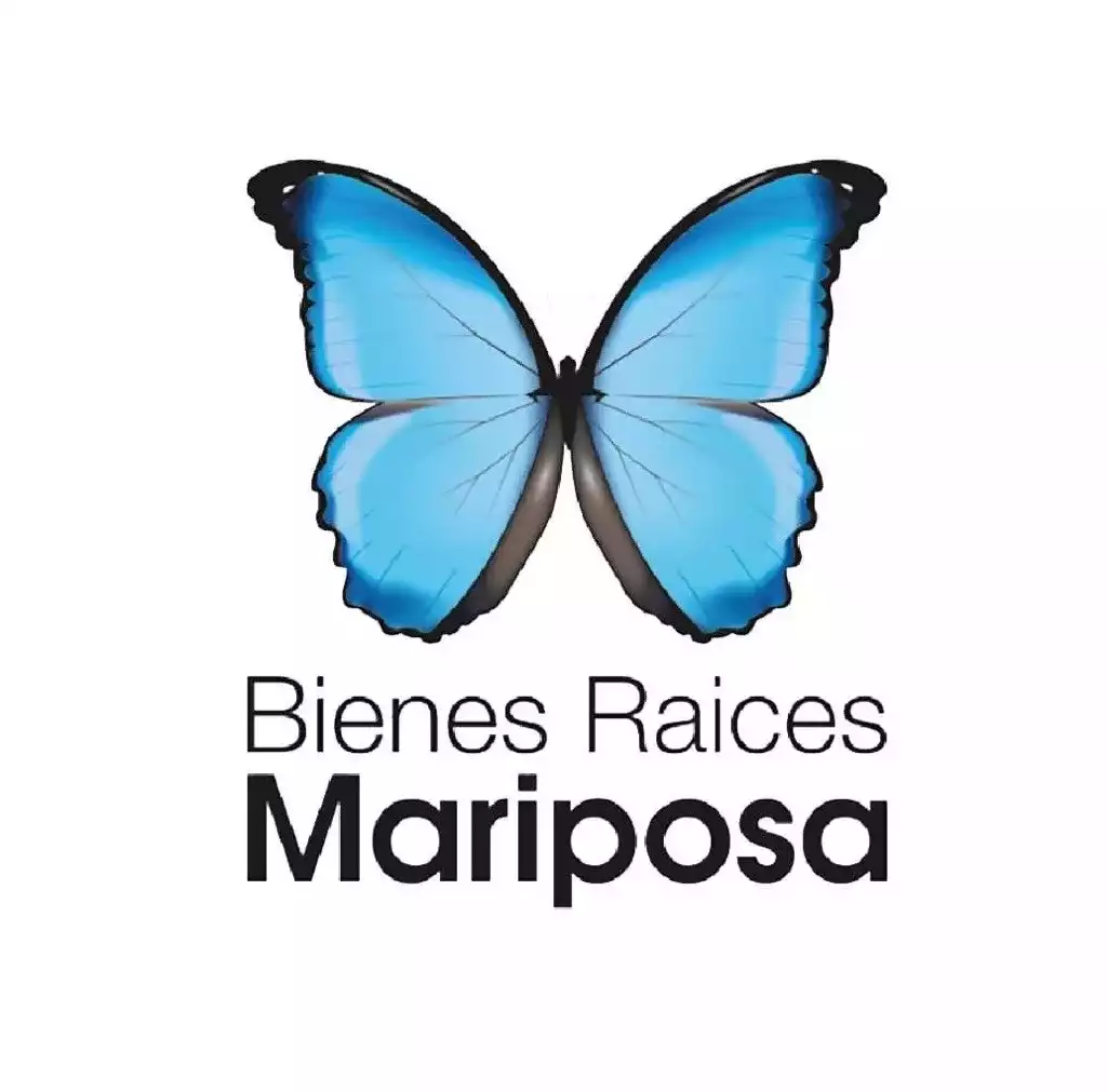 mariposa.jpg