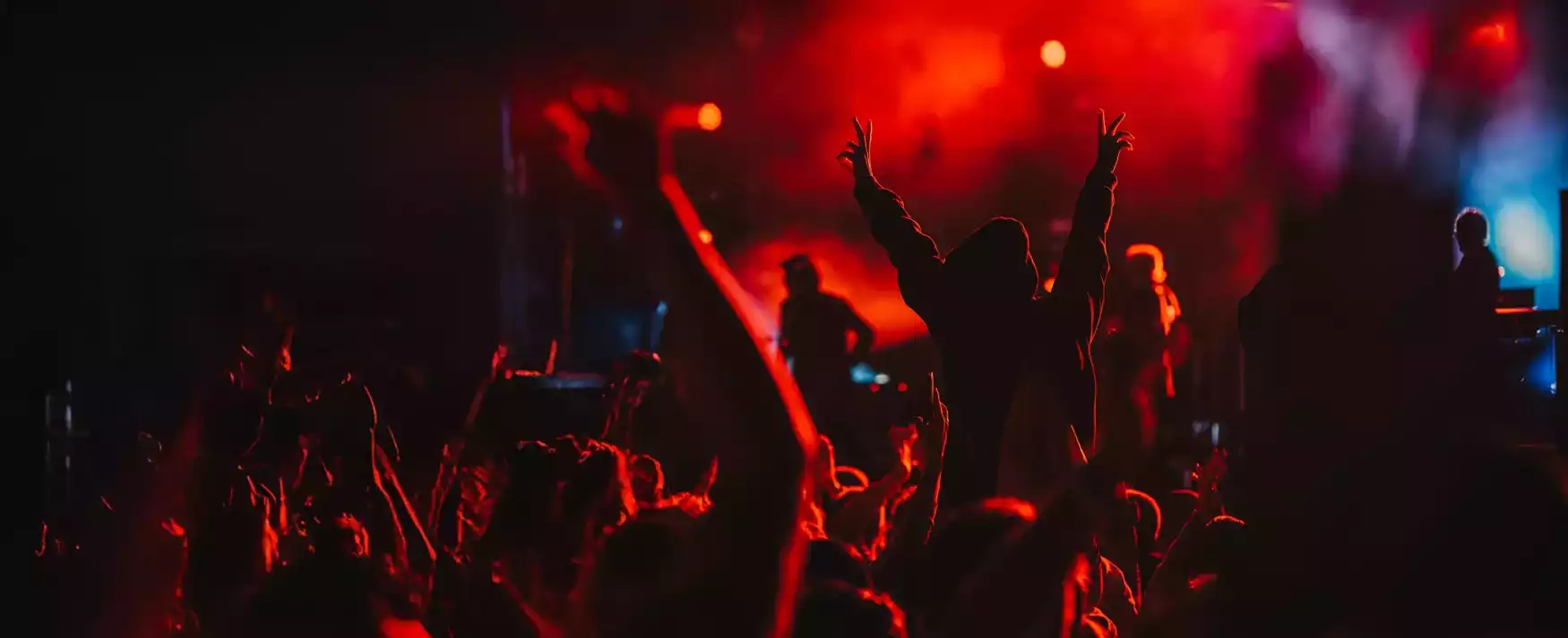 grupo de personas en una multitud de conciertos