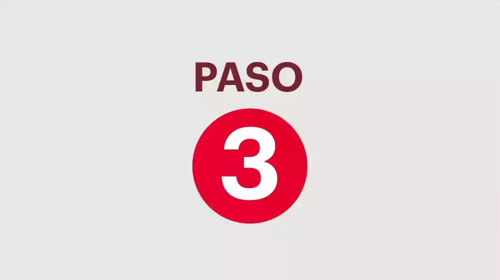 Paso 3